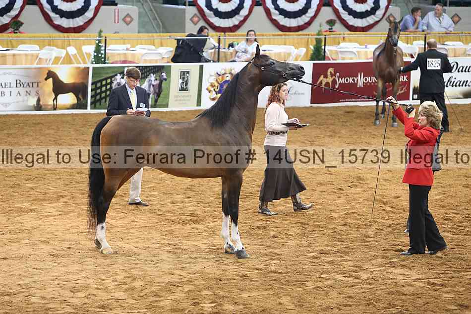 Proof 14usn_15739