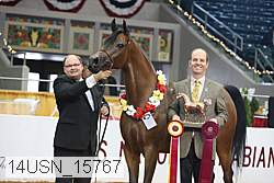 14usn_15767 proof