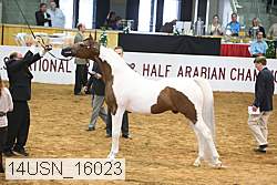 14usn_16023 proof