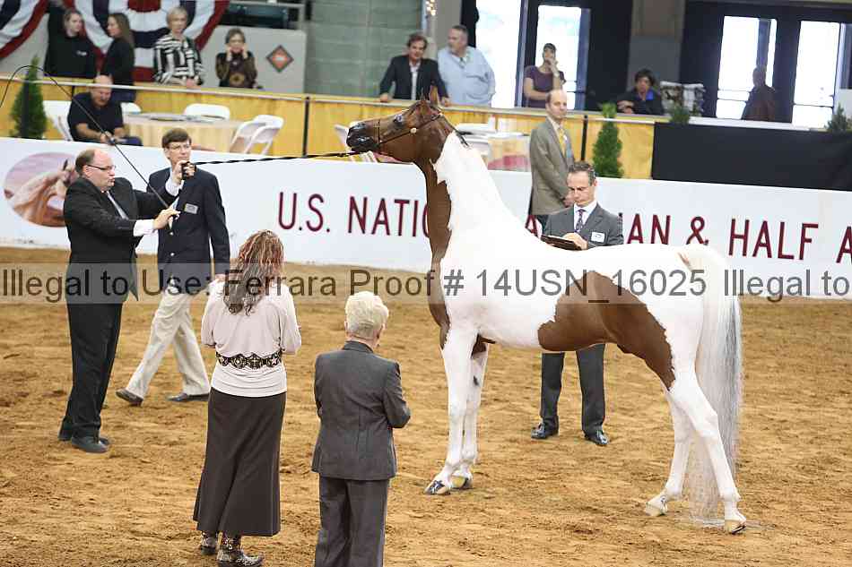 Proof 14usn_16025