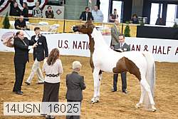 14usn_16025 proof