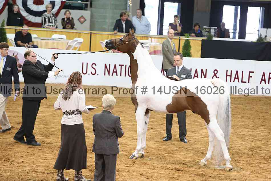 Proof 14usn_16026