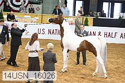 14usn_16026 proof