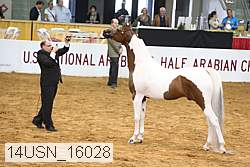 14usn_16028 proof