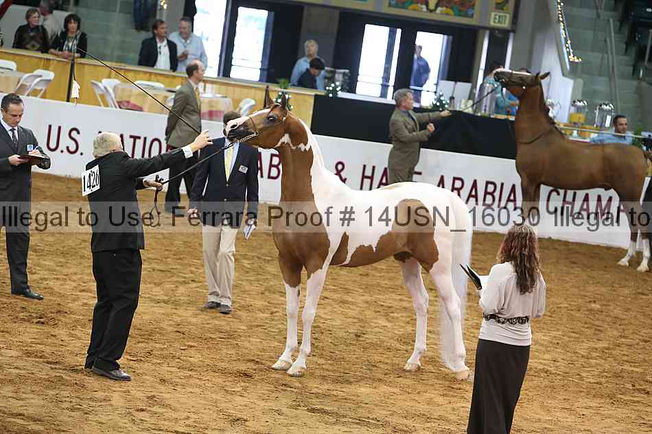 Proof 14usn_16030