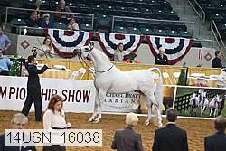 14usn_16038 proof