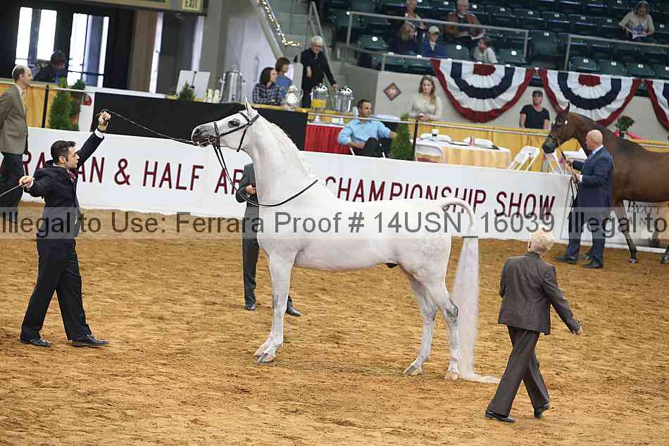 Proof 14usn_16039