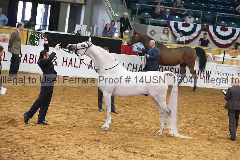 Proof 14usn_16041
