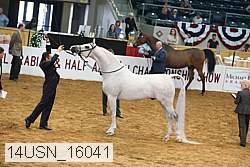 14usn_16041 proof