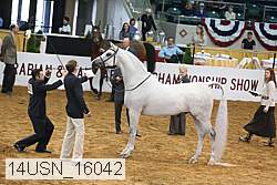 14usn_16042 proof