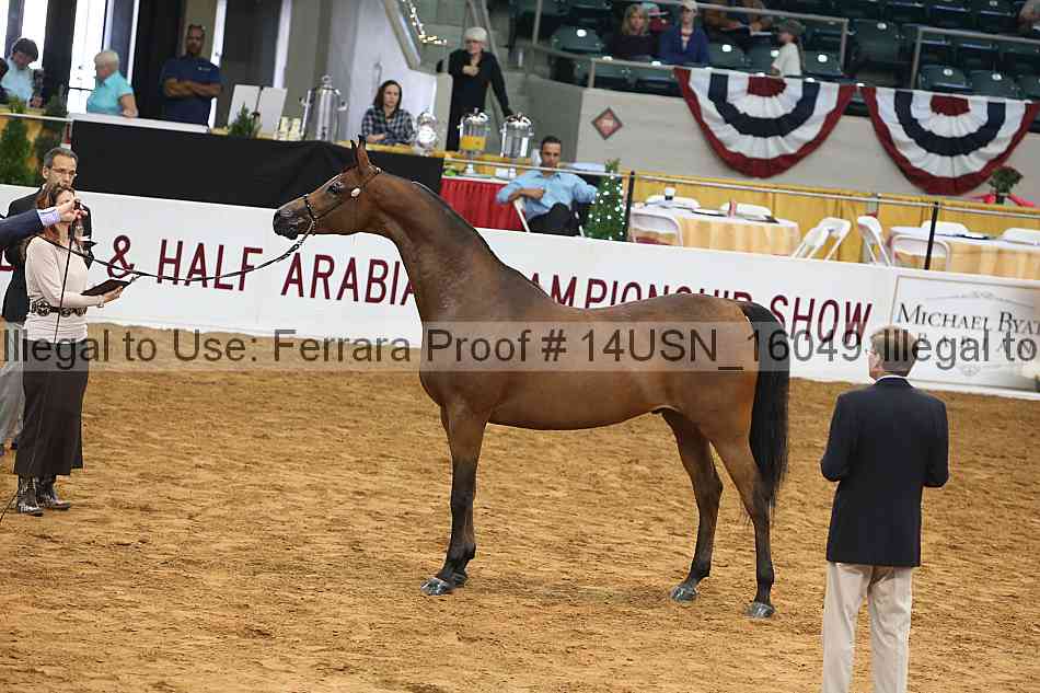 Proof 14usn_16049