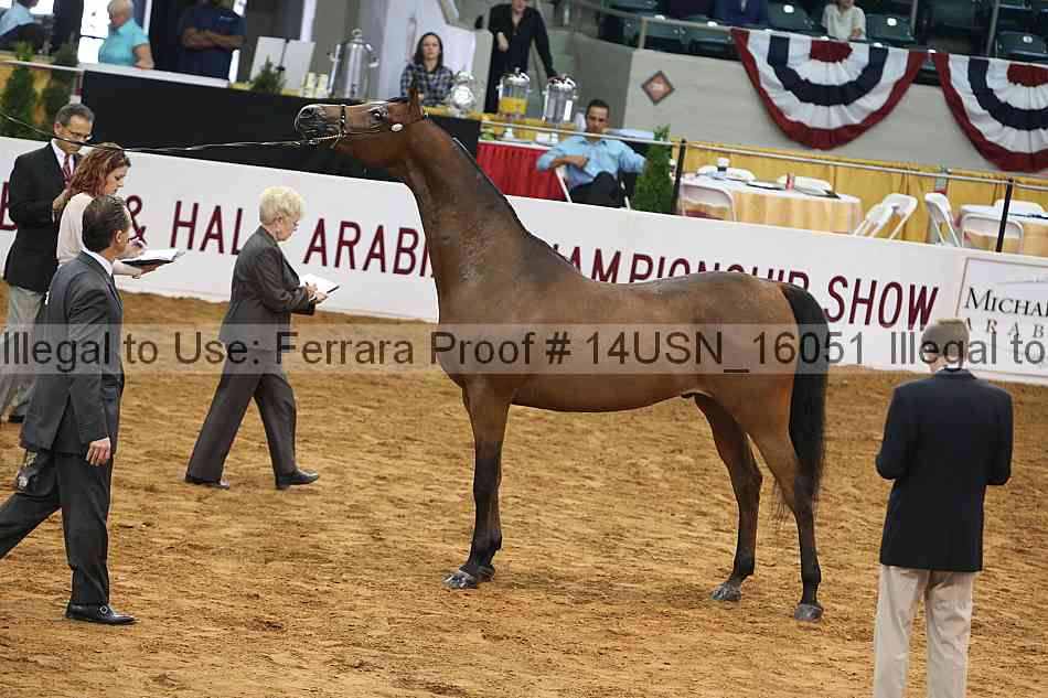 Proof 14usn_16051