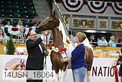 14usn_16064 proof