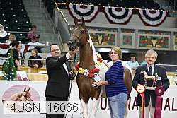 14usn_16066 proof