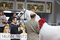 14usn_16072 proof