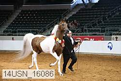 14usn_16086 proof