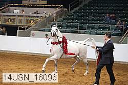 14usn_16096 proof