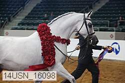14usn_16098 proof