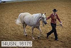 14usn_16175 proof