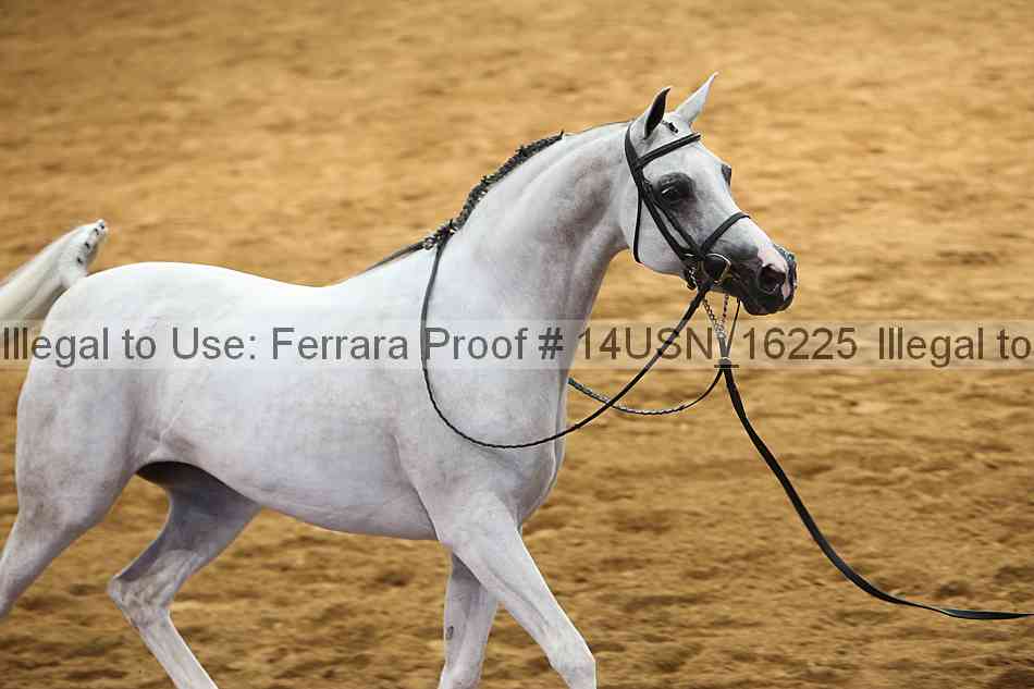 Proof 14usn_16225