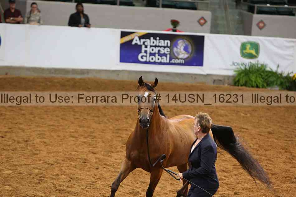 Proof 14usn_16231