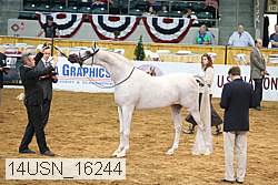 14usn_16244 proof