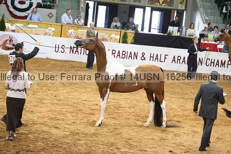 Proof 14usn_16256