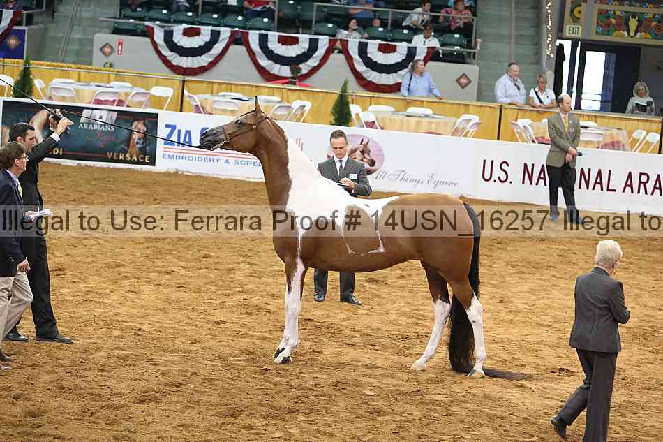 Proof 14usn_16257