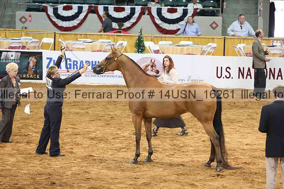 Proof 14usn_16261