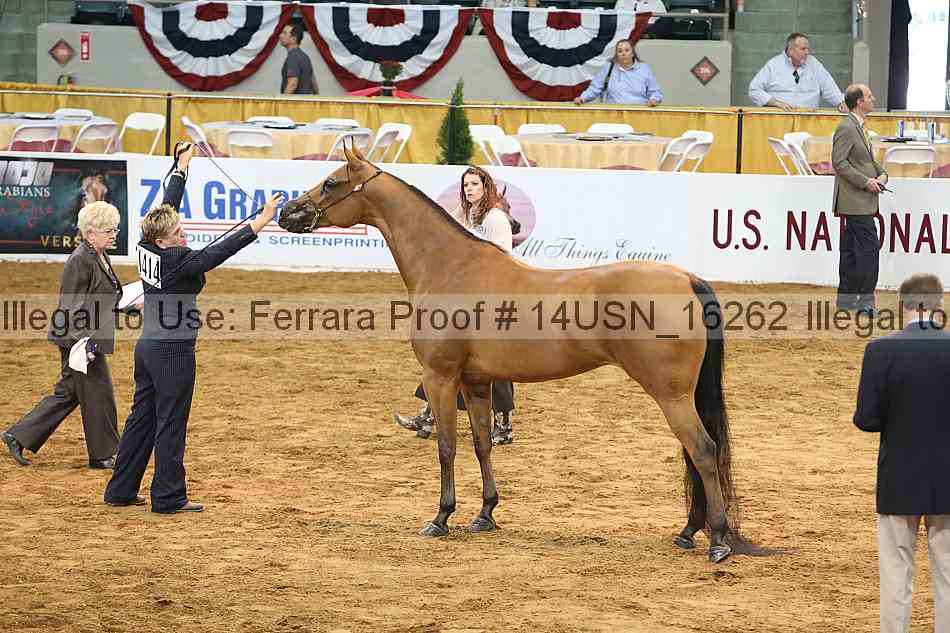 Proof 14usn_16262