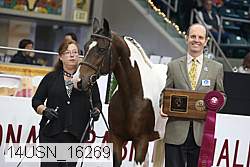 14usn_16269 proof
