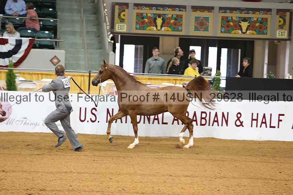 Proof 14usn_29628