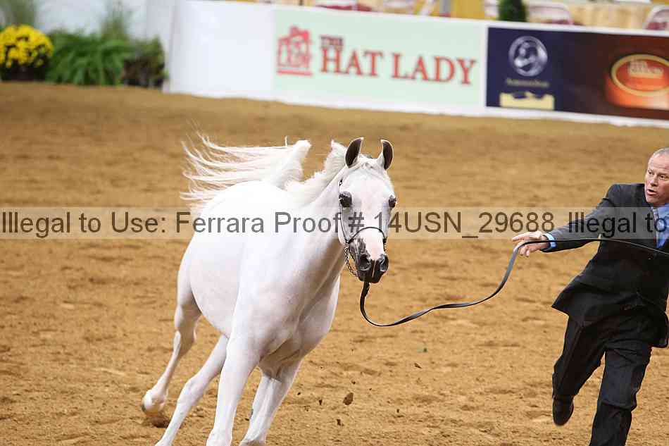 Proof 14usn_29688