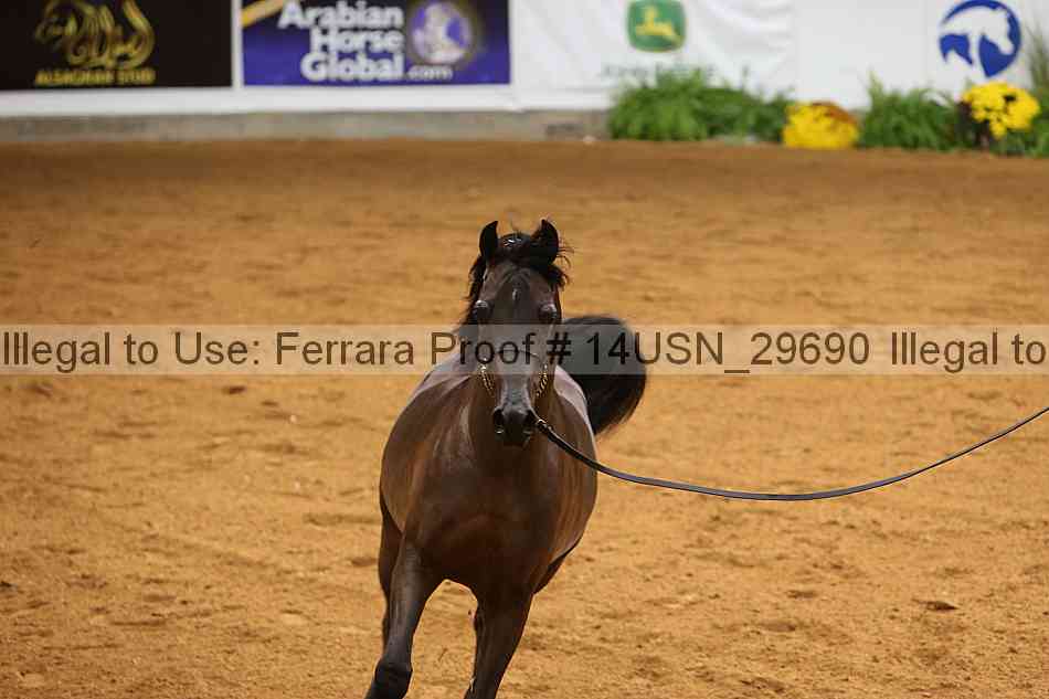 Proof 14usn_29690