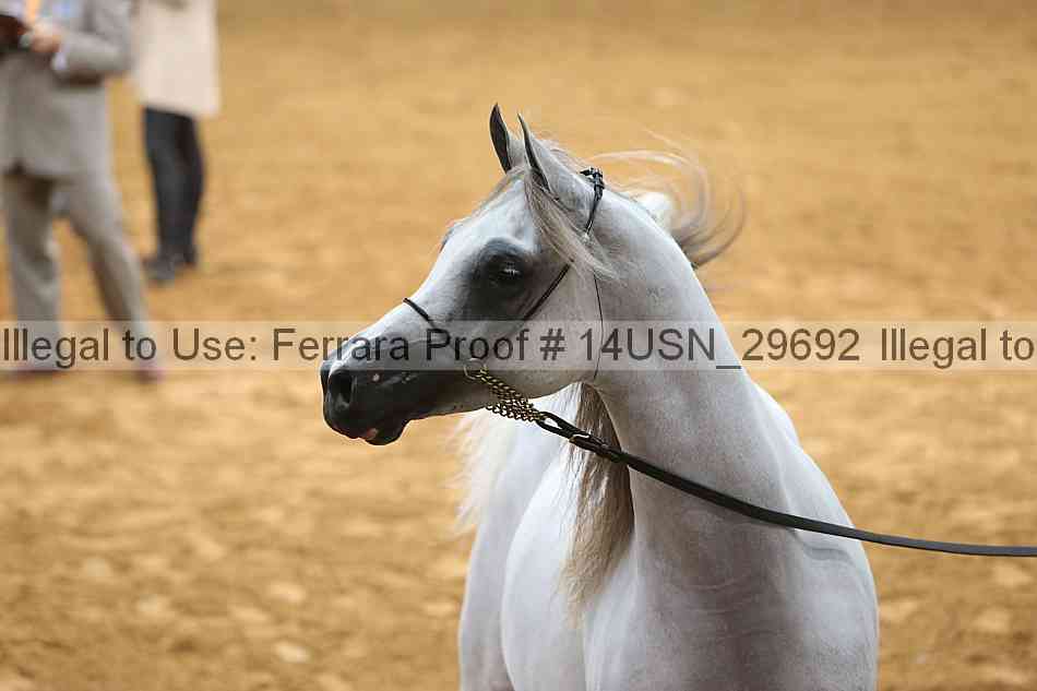 Proof 14usn_29692