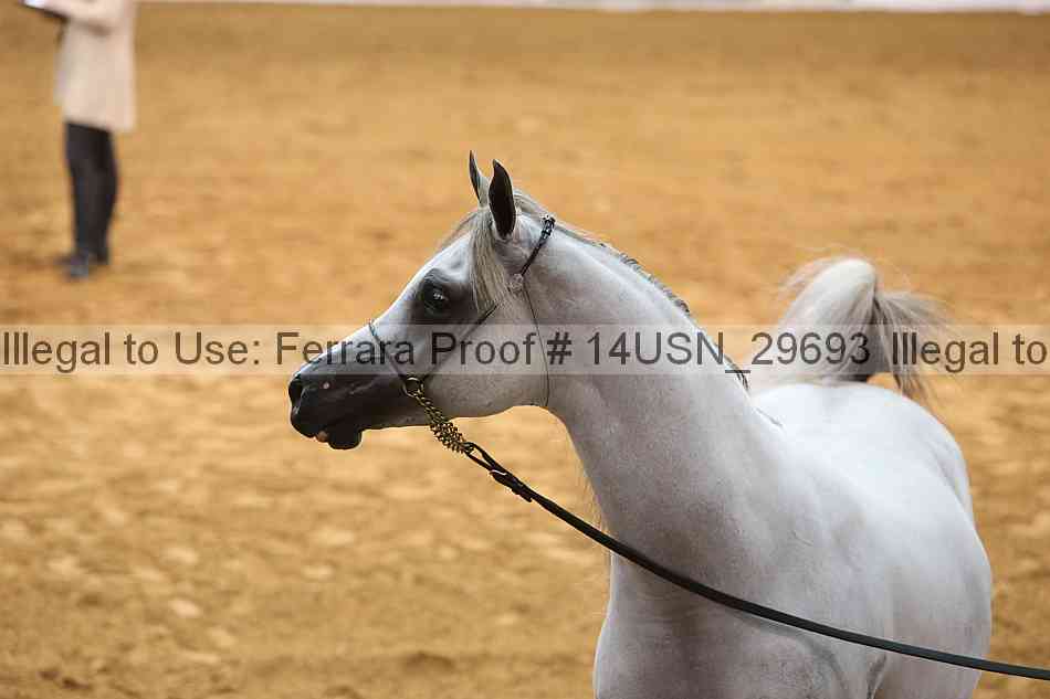 Proof 14usn_29693