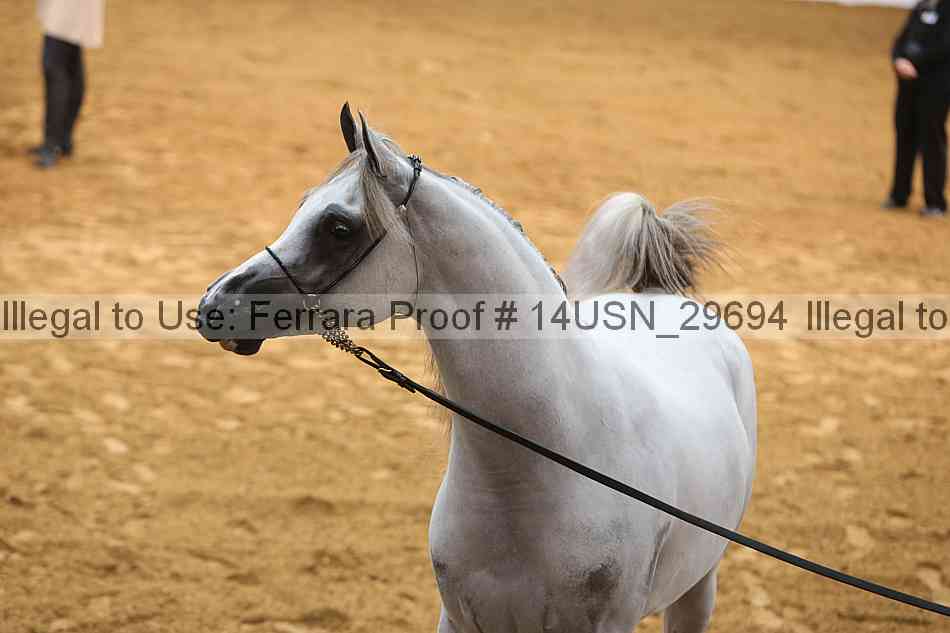 Proof 14usn_29694