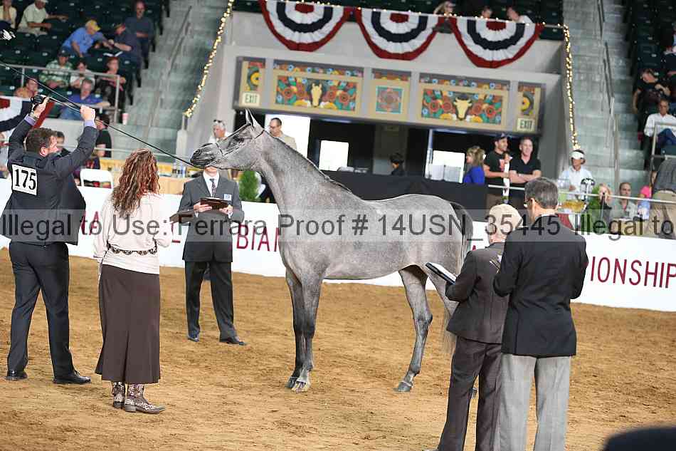 Proof 14usn_35445