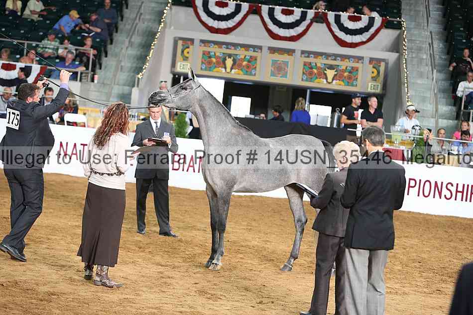 Proof 14usn_35446
