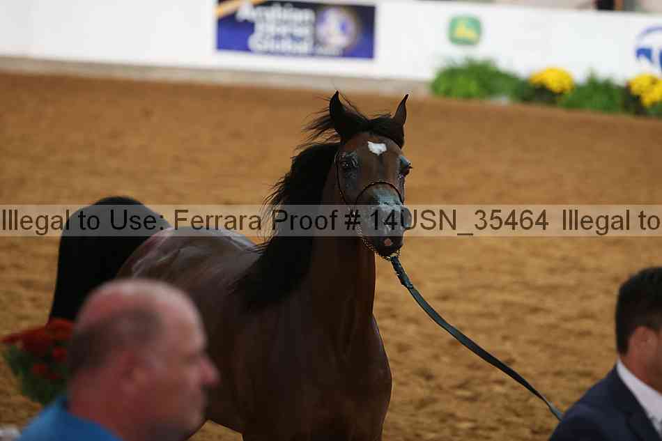 Proof 14usn_35464