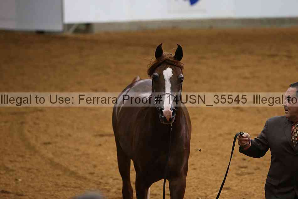 Proof 14usn_35545