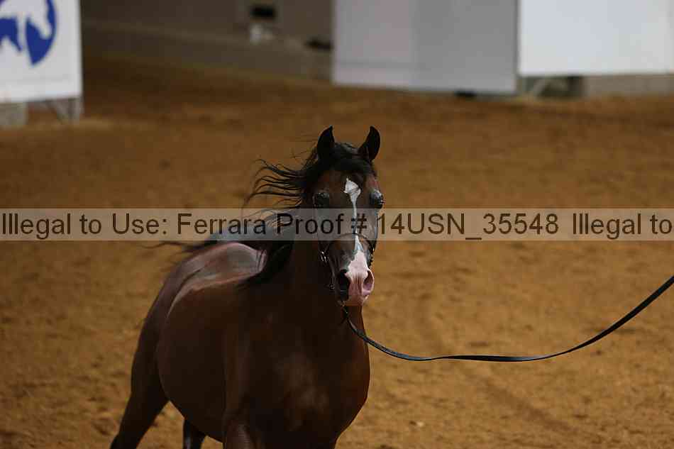 Proof 14usn_35548