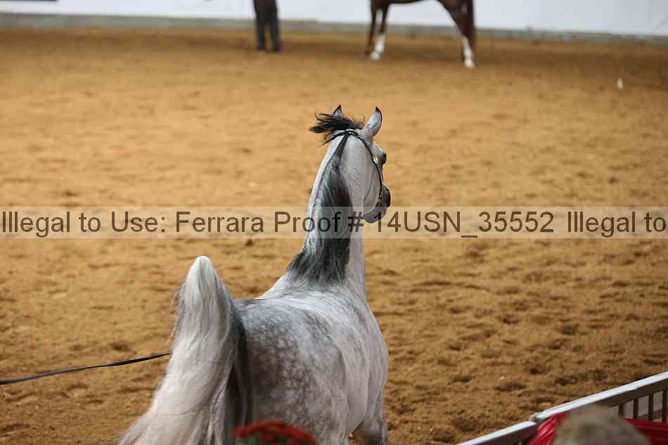Proof 14usn_35552