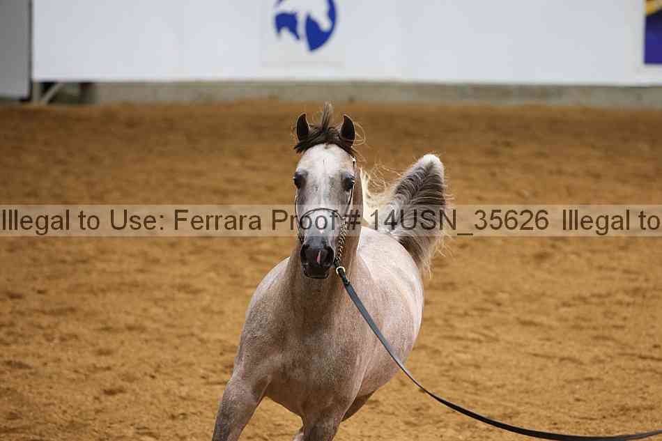 Proof 14usn_35626