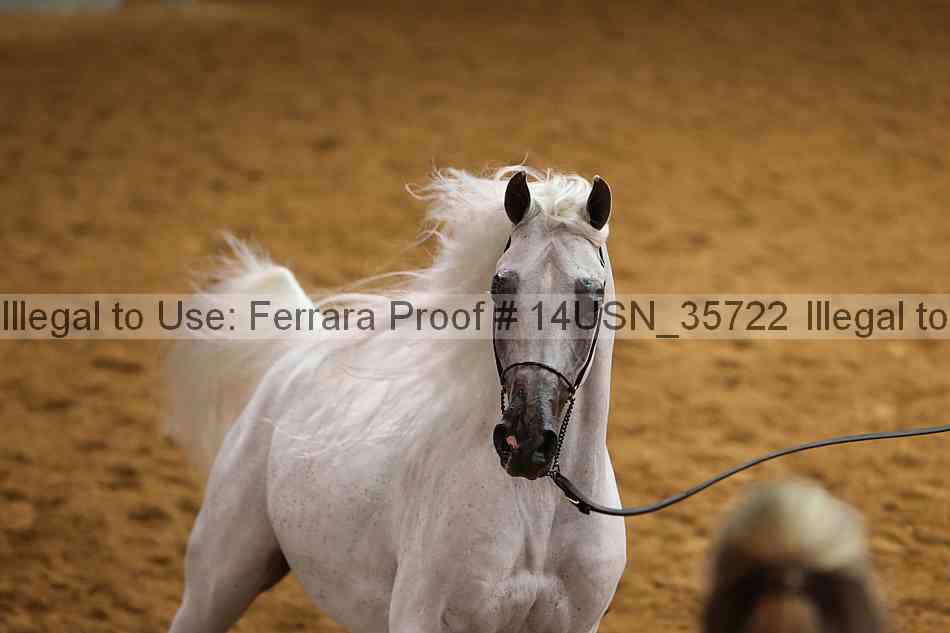 Proof 14usn_35722