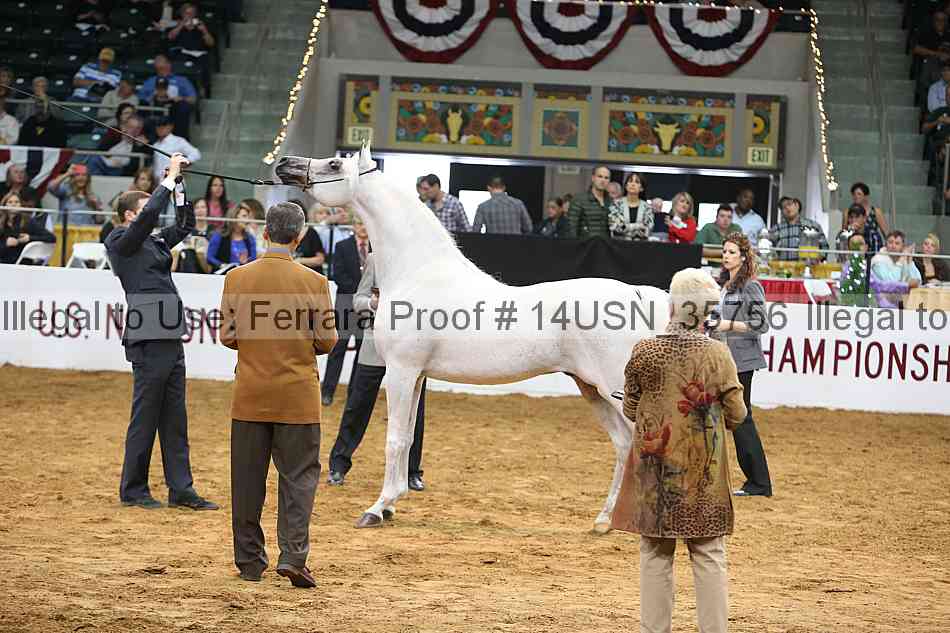 Proof 14usn_35756
