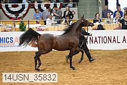 14usn_35832 proof