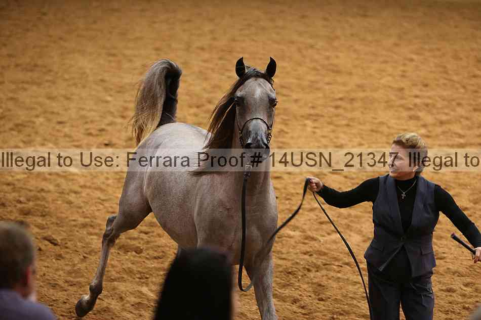 Proof 14usn_21347