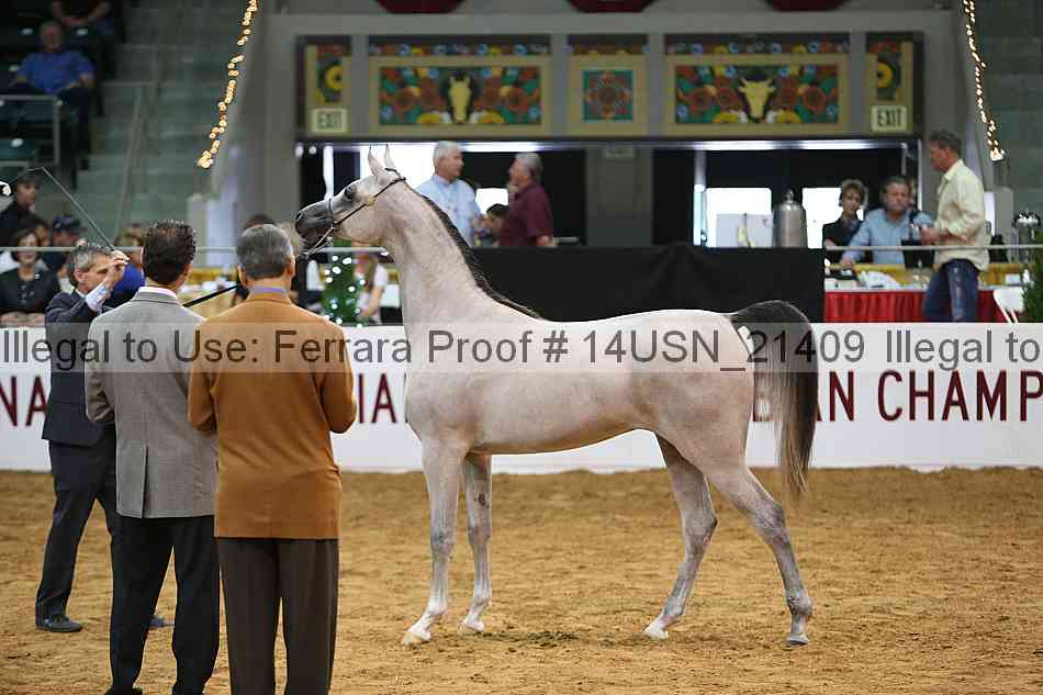Proof 14usn_21409