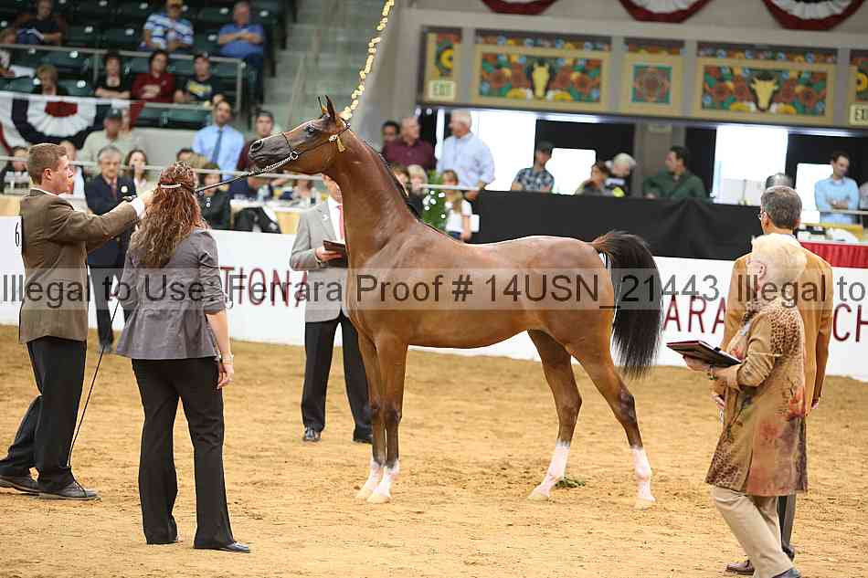 Proof 14usn_21443